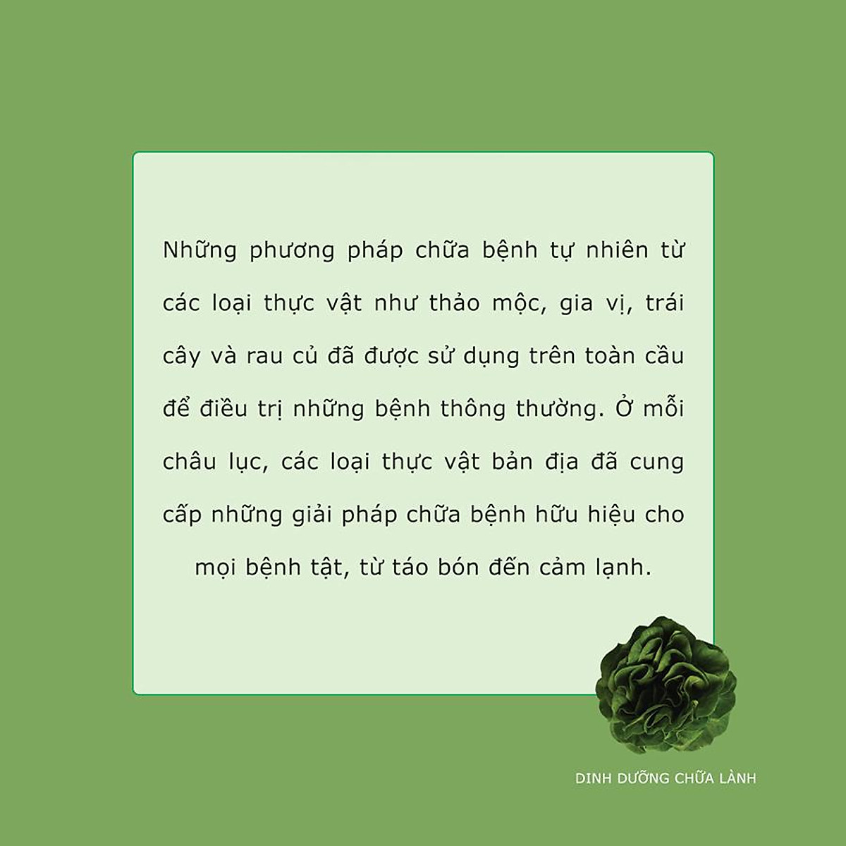 Dinh Dưỡng Chữa Lành (Chế Độ Ăn Uống Phòng Bệnh Hiệu Quả Từ 50 Loại Thực Vật)