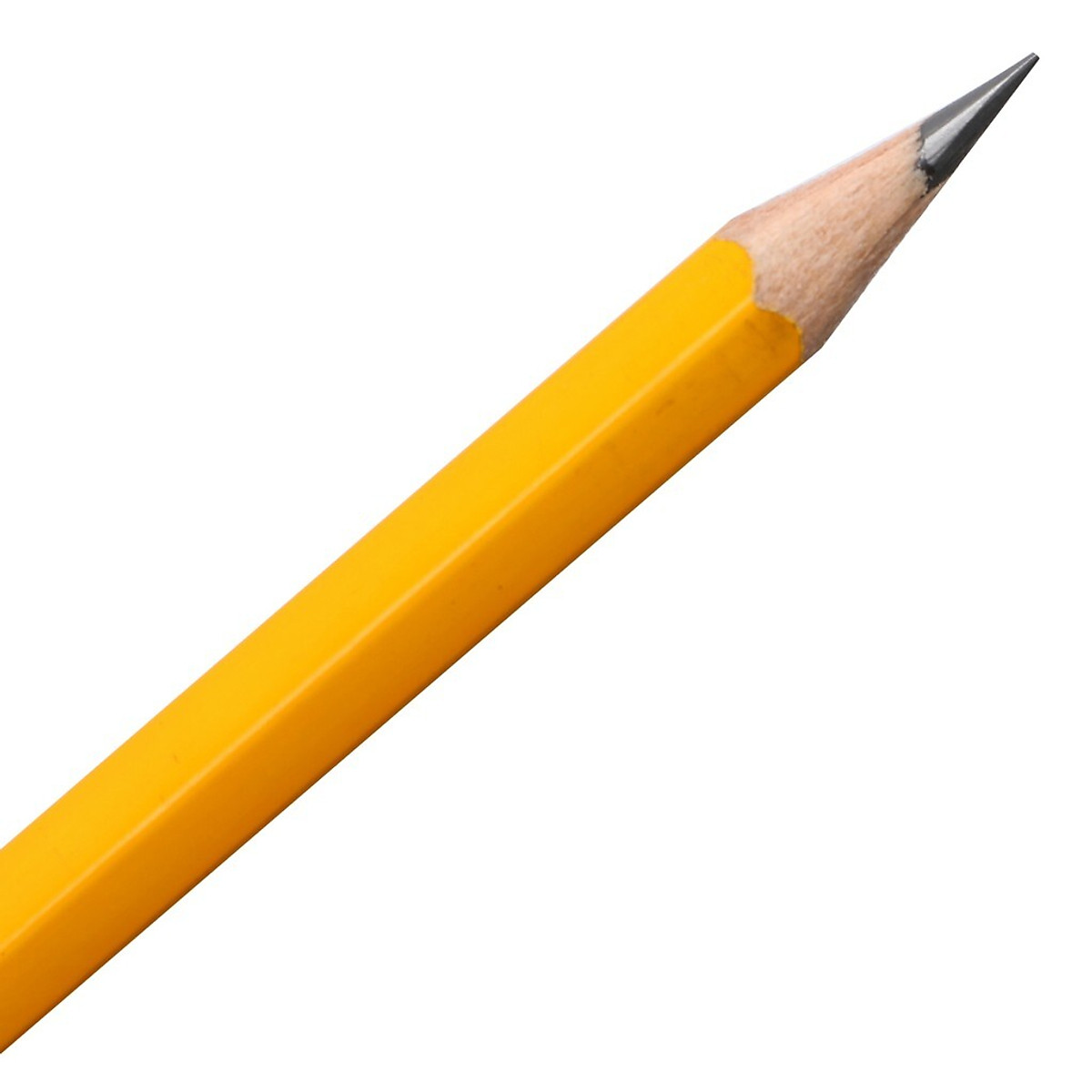 Những bước vẽ cây viết chì cho người mới