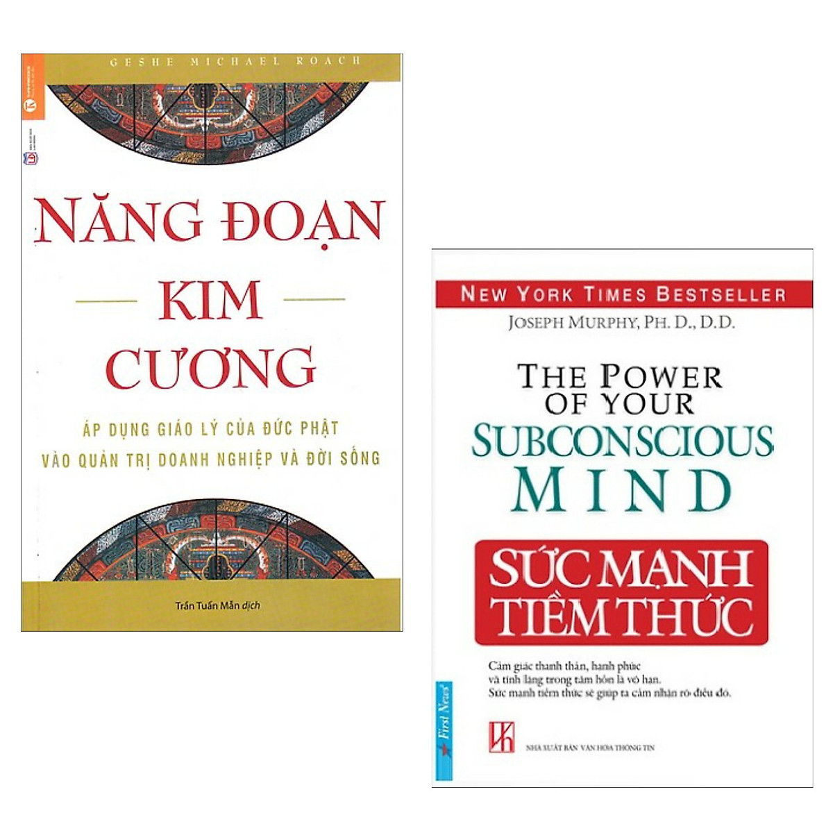 Combo 2 Cuốn Sách Kỹ Năng Hay: Năng Đoạn Kim Cương (Tái Bản 2018) + Sức Mạnh Tiềm Thức (Tái Bản) / Những Cuốn Sách Kỹ Năng Sống - Kỹ Năng Làm Việc Hay Nhất (Tặng Kèm Bookmark Happy Life)