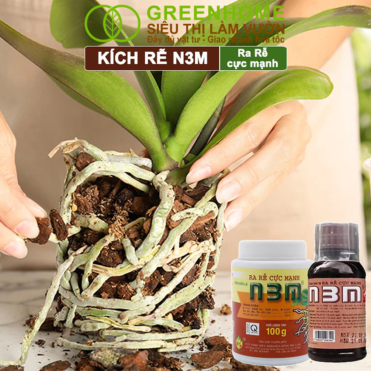 Phân Bón Lá Greenhome, N3M, Chai100ml, Ra Rễ Cực Mạnh Dùng Giâm, Chiết Cành, Ngâm Hạt Giống, Chuyên Kiểng, Hoa Hồng, Lan
