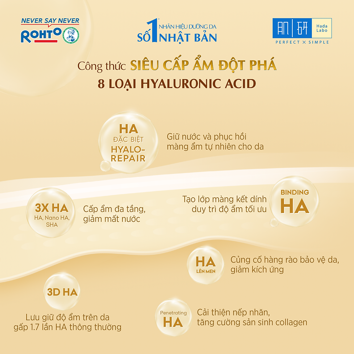 Lotion dưỡng ẩm cao cấp - Siêu cấp ẩm cho da căng mượt Hada Labo Gokujyun Premium Hydrating Lotion (170ml)