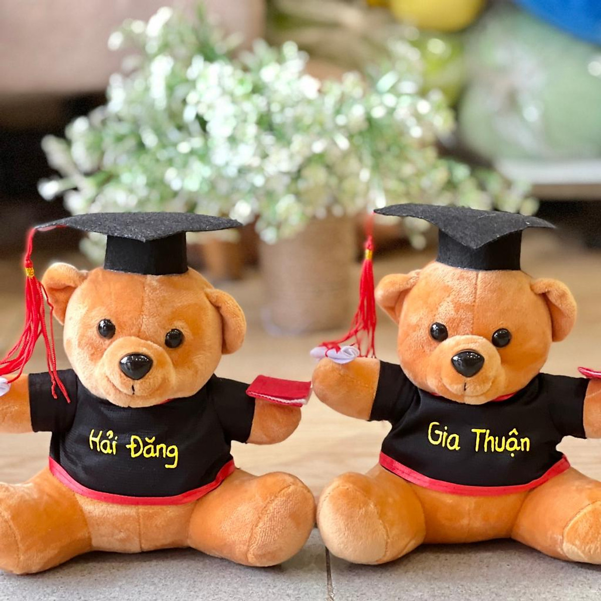 Gấu bông tốt nghiệp dễ thương 20cm, teddy cử nhân cute - Thú bông