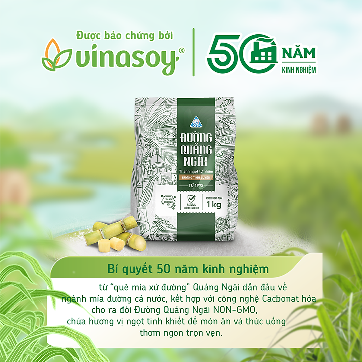 Đường tinh luyện Đường Quảng Ngãi 1kg