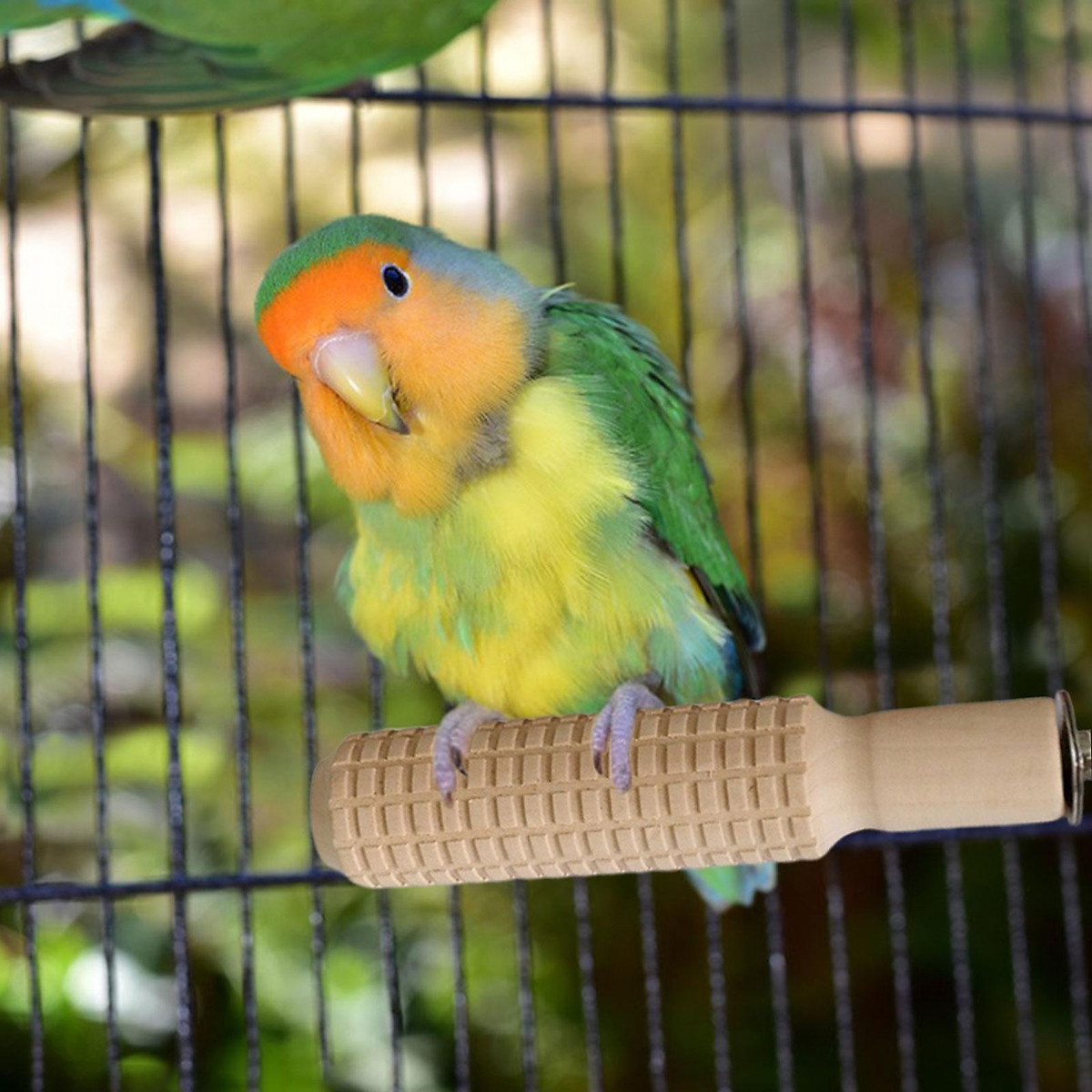Photo inspiration: Picture Idea: Parrot Perch Foot Toy Wood Climbing Branches For Small Bird