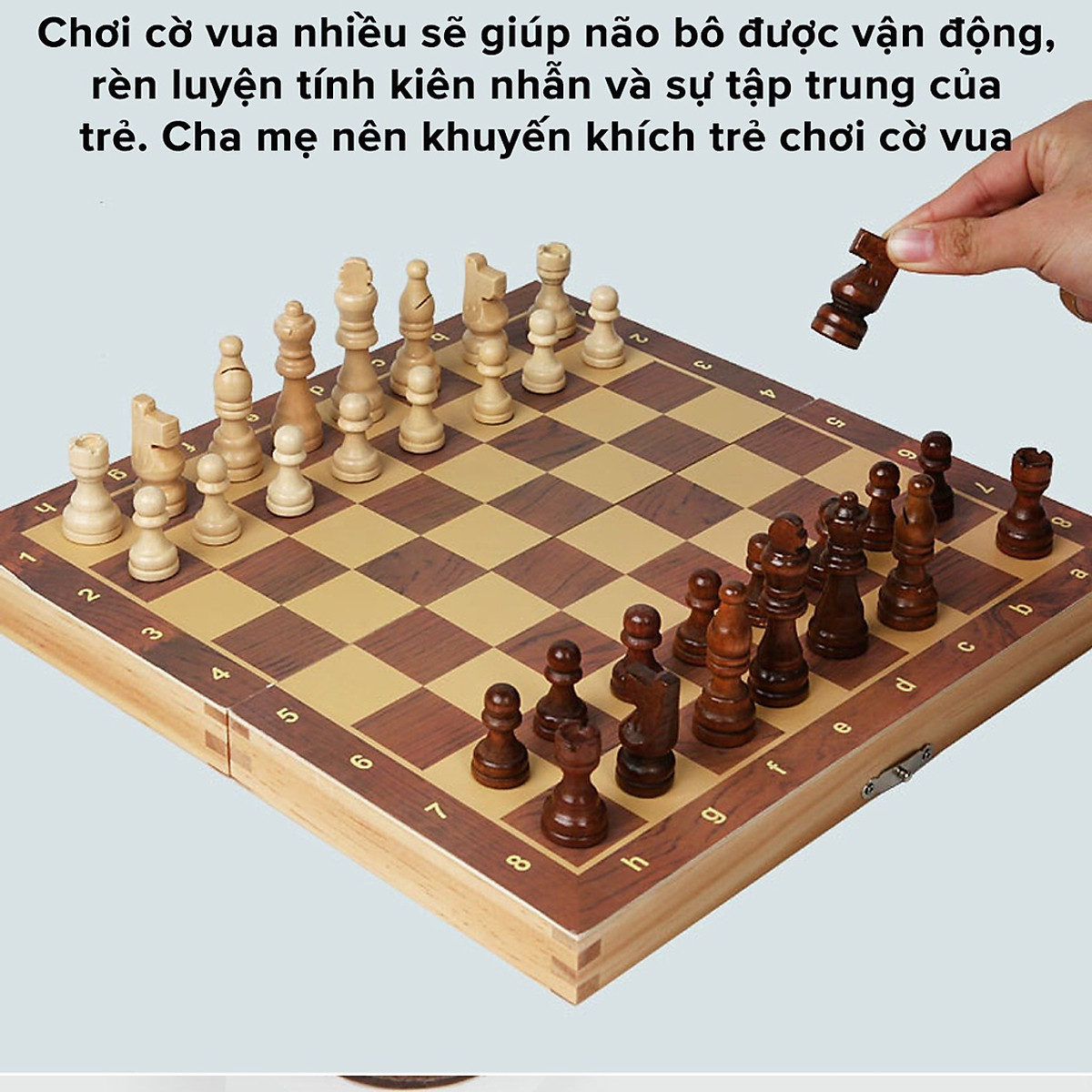 Bàn cờ vua gỗ nam châm cao cấp - Bộ cờ vua nam châm 29cm - 34cm - 39cm bằng gỗ thông tự nhiên chính hãng D Danido