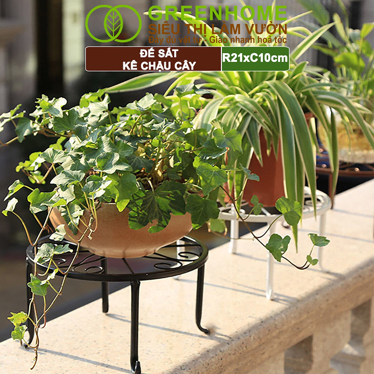 Đế Kê Chậu Cây Greenhome, R21xc10cm, Bằng Sắt Sơn Tĩnh Điện, Màu Đen, Uốn Mỹ Nghệ, Bền, Đẹp, Nhiều Hình Dạng Lựa Chọn