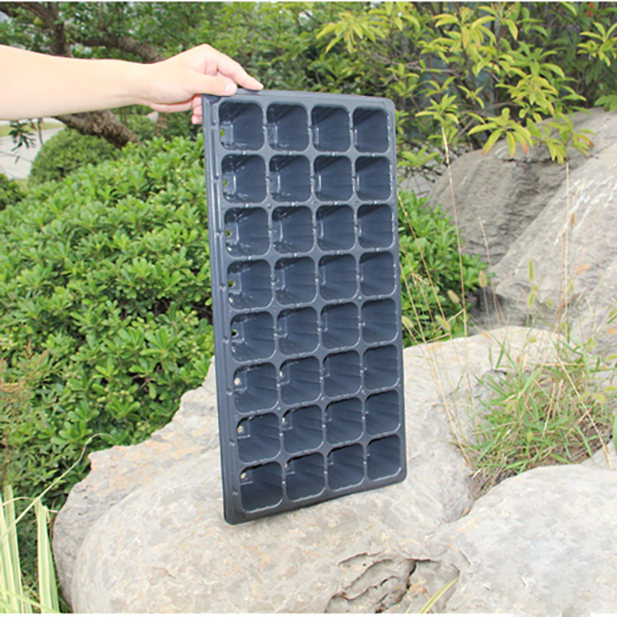 Bộ 5 khay ươm hạt giống 32 lỗ