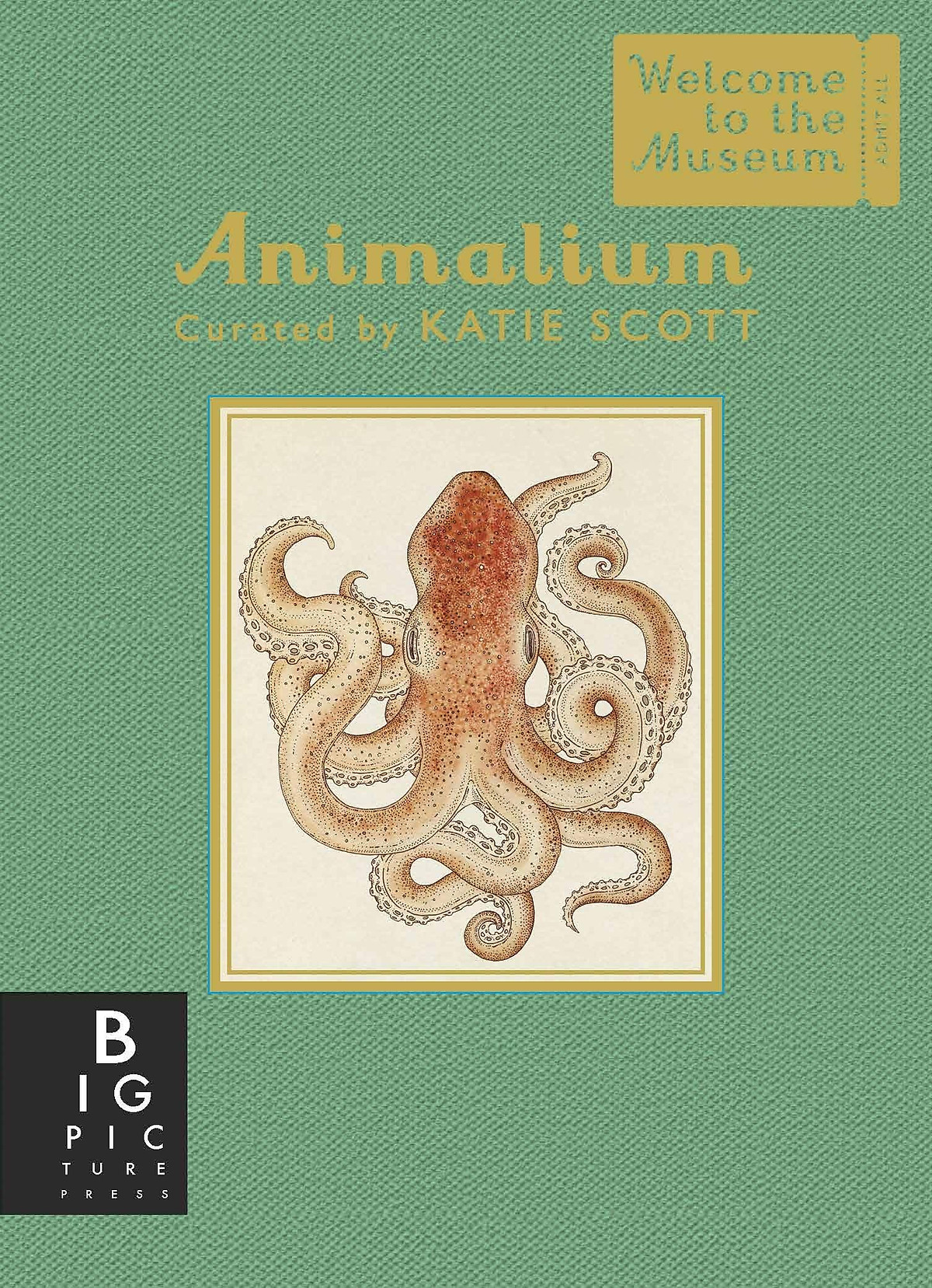 Sách Animalium (Mini Gift Edition)