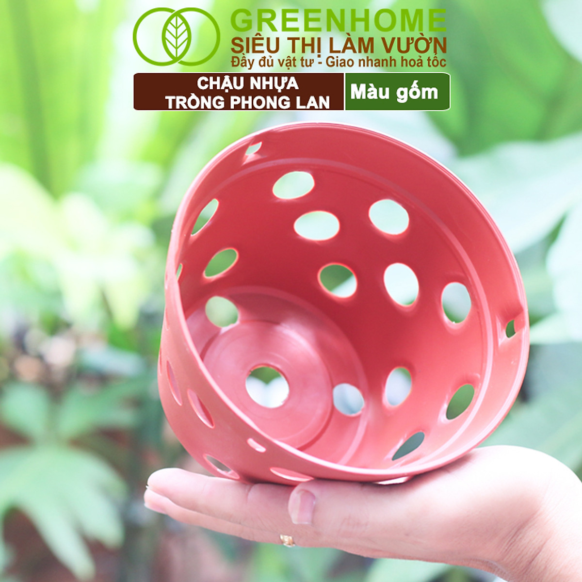Chậu Trồng Lan Greenhome, R15xC10cm, Nhựa Màu Gốm, Bền, Đẹp, Chống Rơi Vỡ, Thoáng Rễ, Giá Thành Tốt