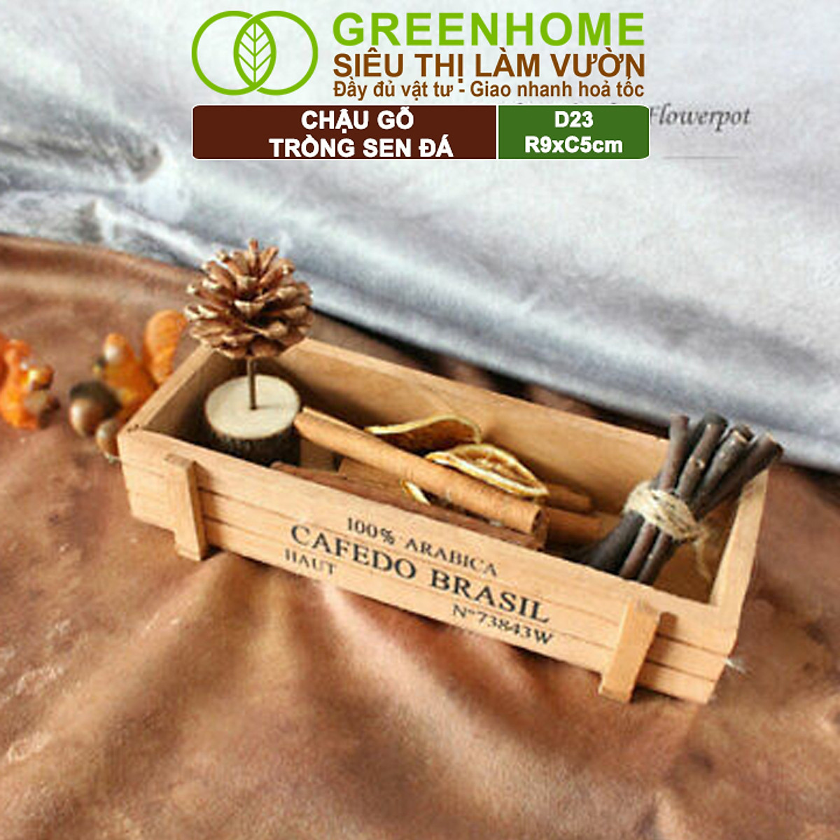 Chậu Gỗ Trồng Sen Đá Greenhome, Cafedo, D23xr9xc5cm, Trang Trí Cây Cảnh Để Bàn, Xương Rồng, Nhiều Màu Để Lựa Chọn