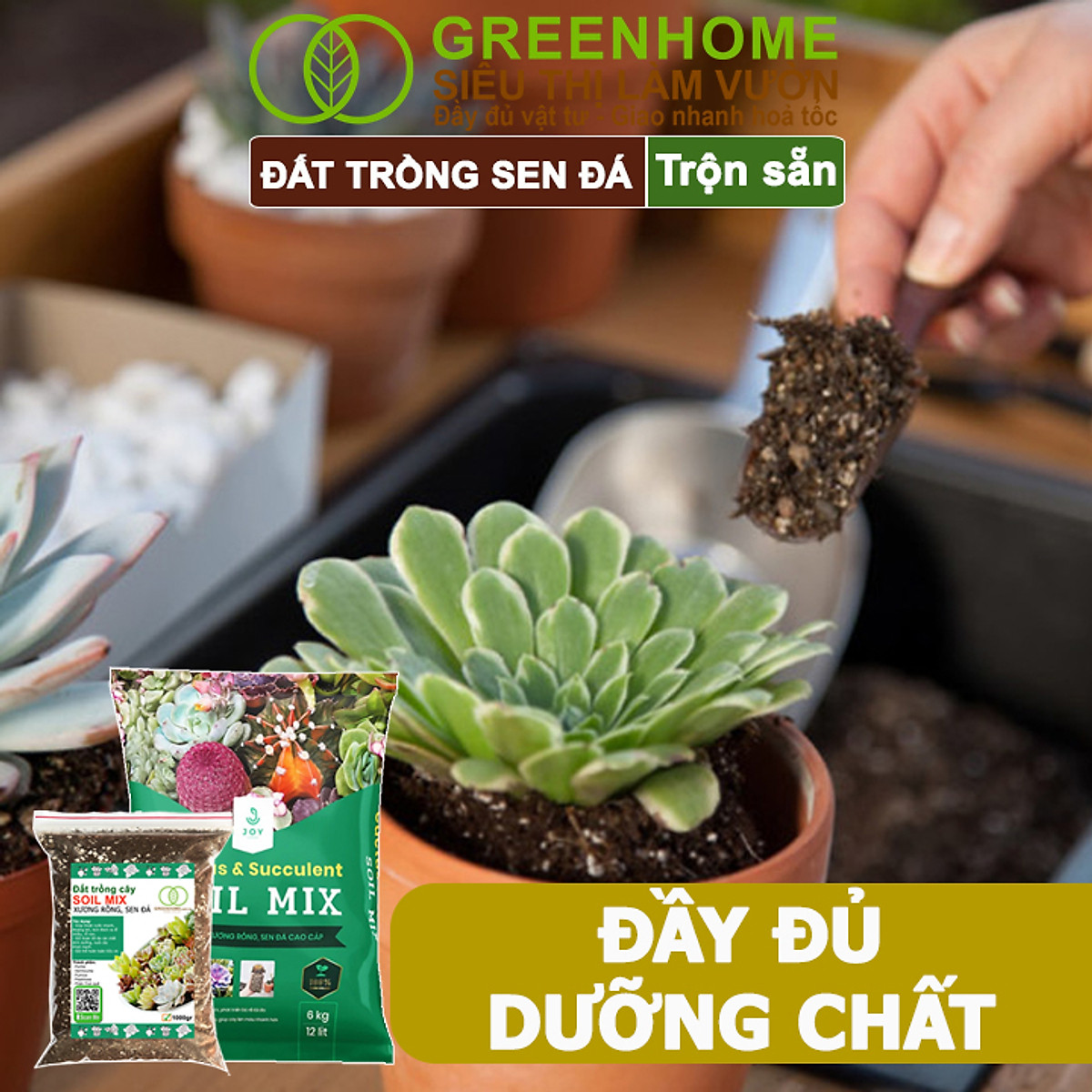 Đất Trồng Sen Đá Greenhome, Soil Mix, Bao 6kg, Trộn Sẵn, 85% Đá Khoáng, Phát Rễ Nhanh, Lên Màu Nhanh, Thoát Nước Tốt