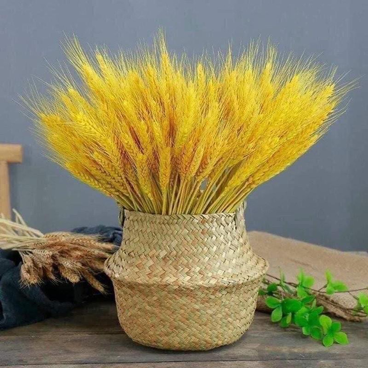 Bông Lúa Mạch Vàng Khô Decor Trang Trí Set 100 Bông - Hoa trang trí