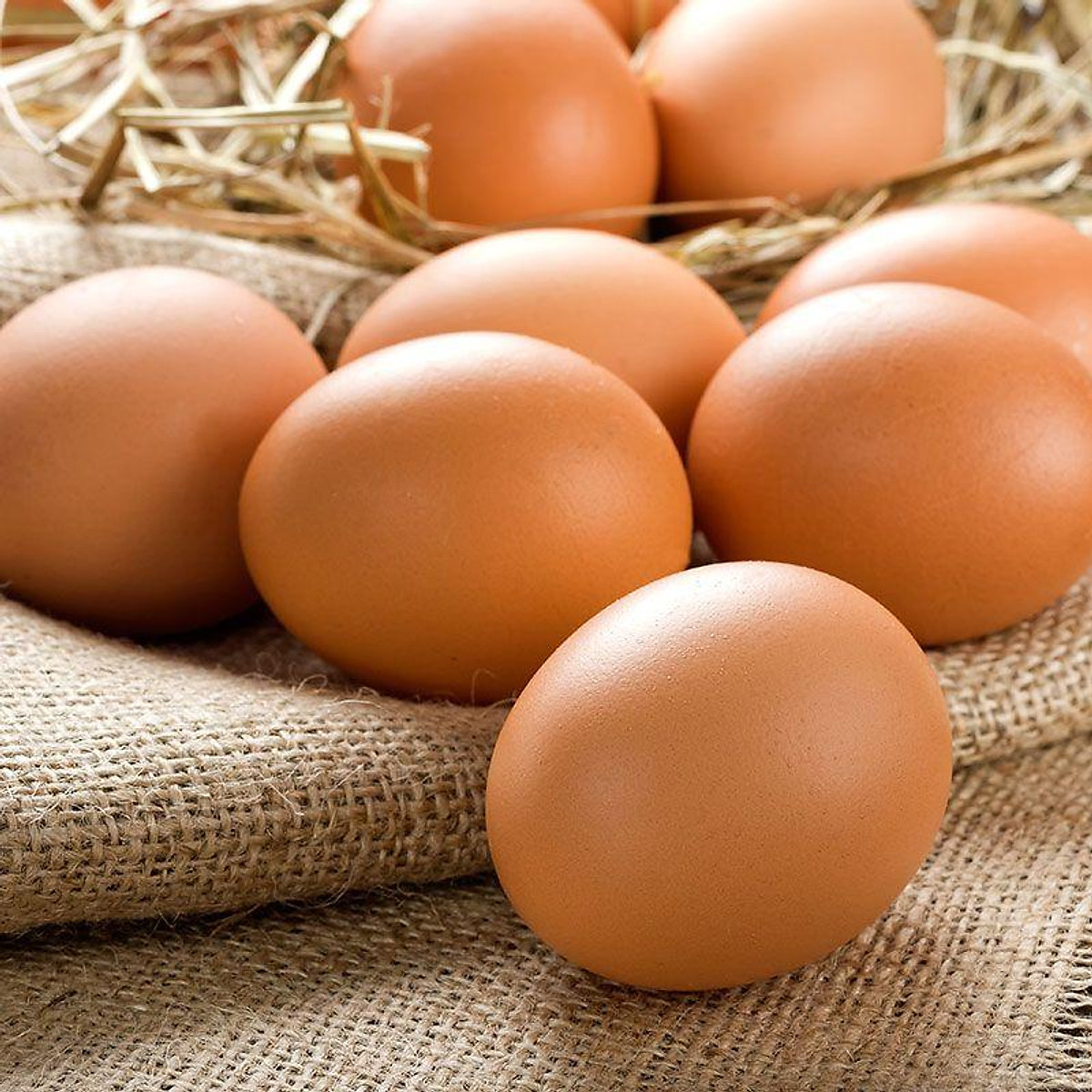 Trứng gà V-Food loại 1 vỉ 6 trứng - Trứng gà, vịt, cút