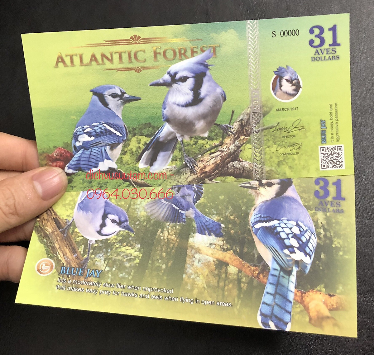 Tiền phát hành lưu niệm 31 dollas hình ảnh chim Cyanocitta ...