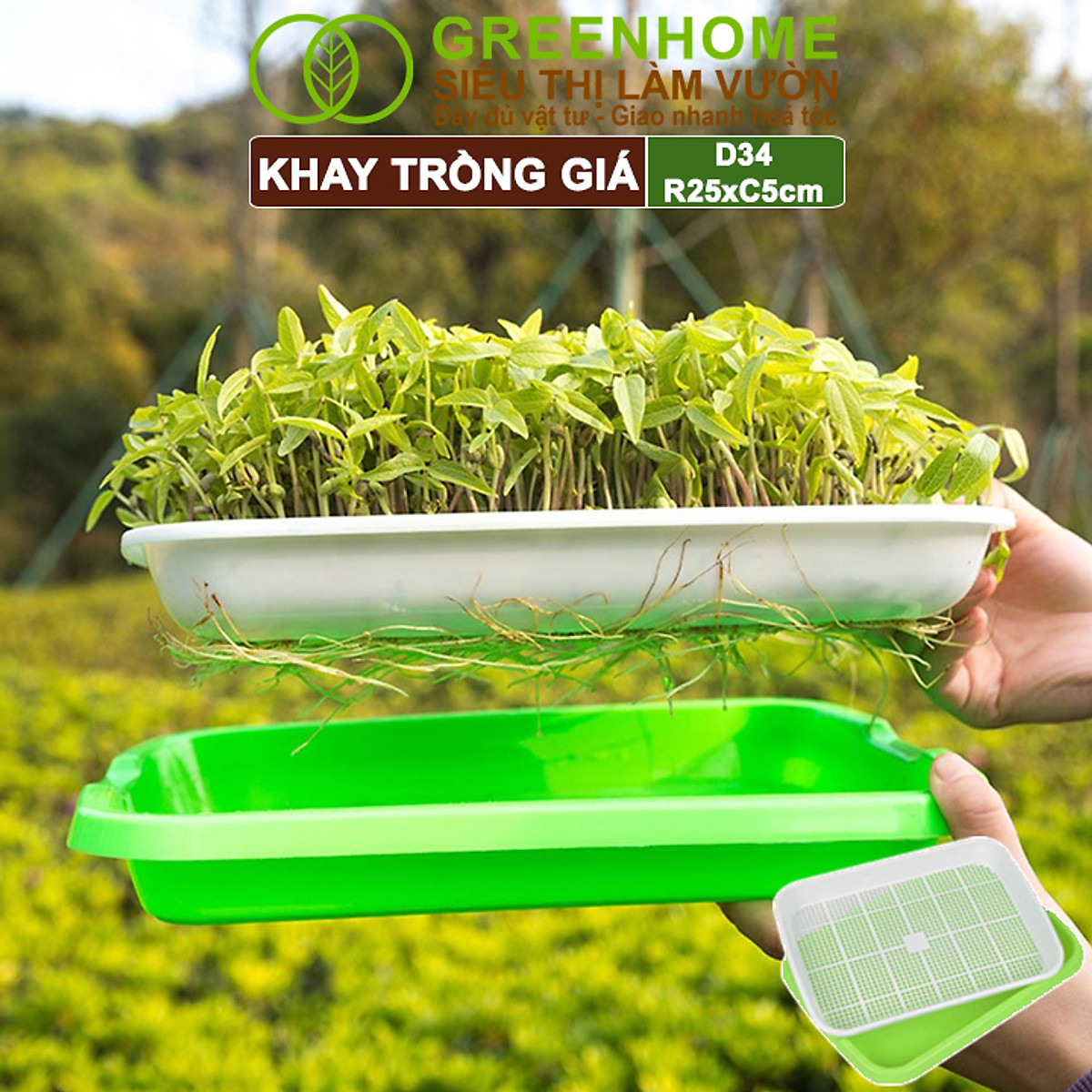 Khay Trồng Rau Greenhome, D34xR25xC5cm, Nhựa Nguyên Sinh, An Toàn, Chuyên Trồng Giá, Rau Mầm Tại Nhà, Không Cần Đất