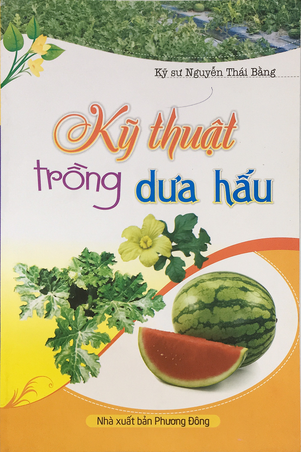 Kỹ thuật trồng dưa hấu (ND)