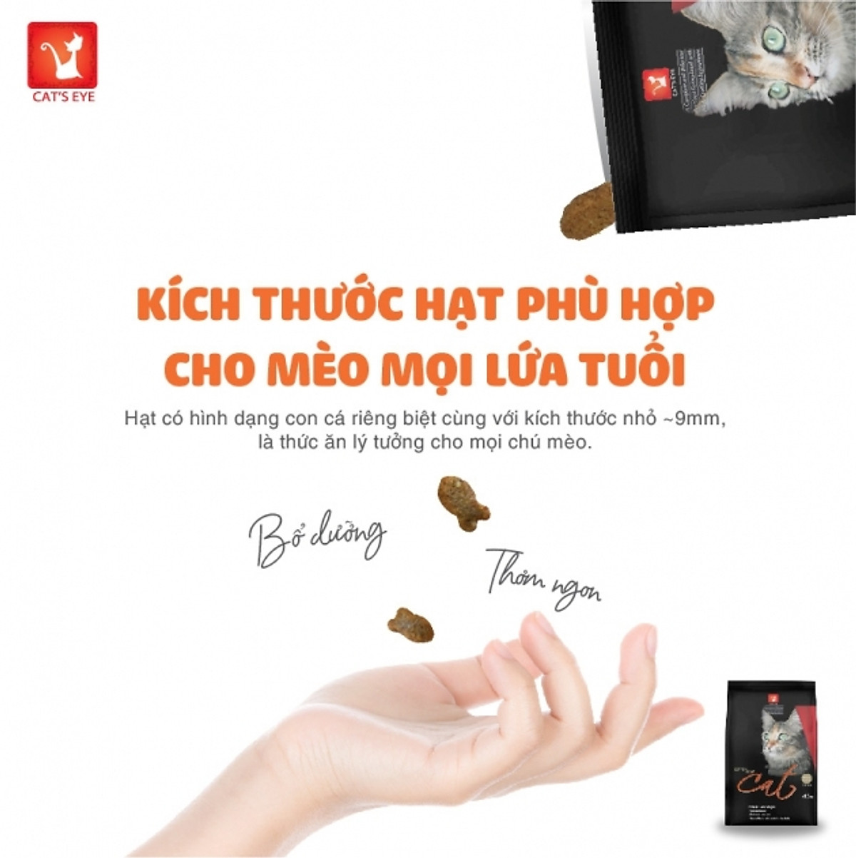 Thức ăn hạt cho mèo | Cat's Eye | cho mèo mọi lứa tuổi | Hỗ trợ lông da