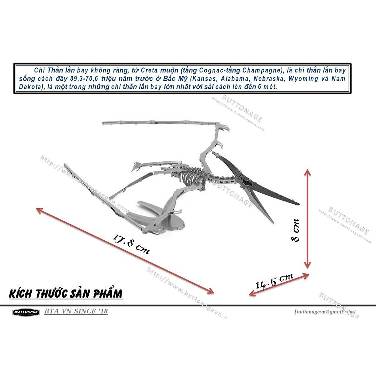 Mô Hình Khủng Long Thằn Lằn Bay Khổng Lồ Anhanguera  Sài Cánh 225cm   77488  Shopee Việt Nam