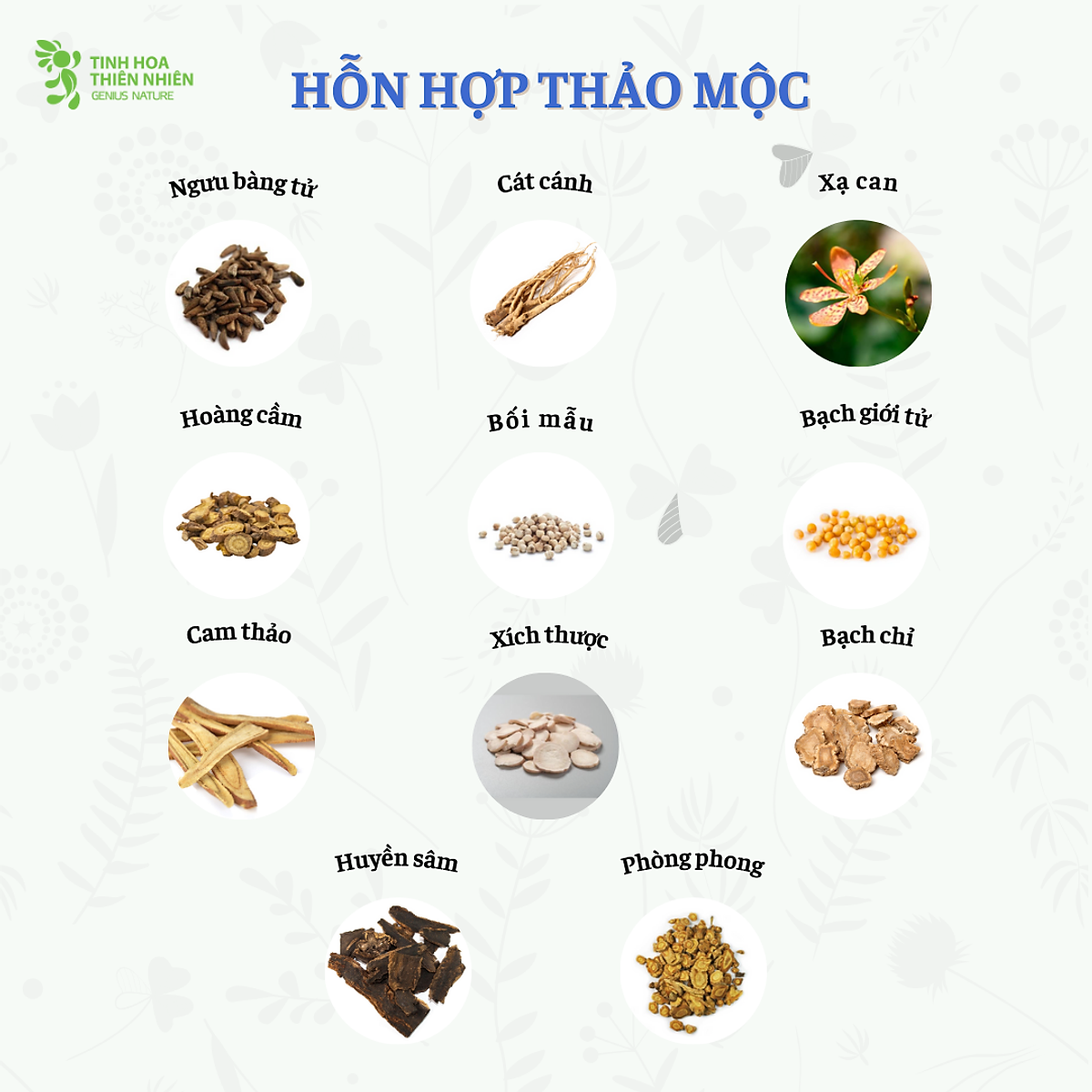 Viên ngậm ho thảo mộc Zalocol Hỗ trợ giảm đờm, đau rát họng, khản tiếng (Hộp 20 viên) - Genat - Giao 2H HCM