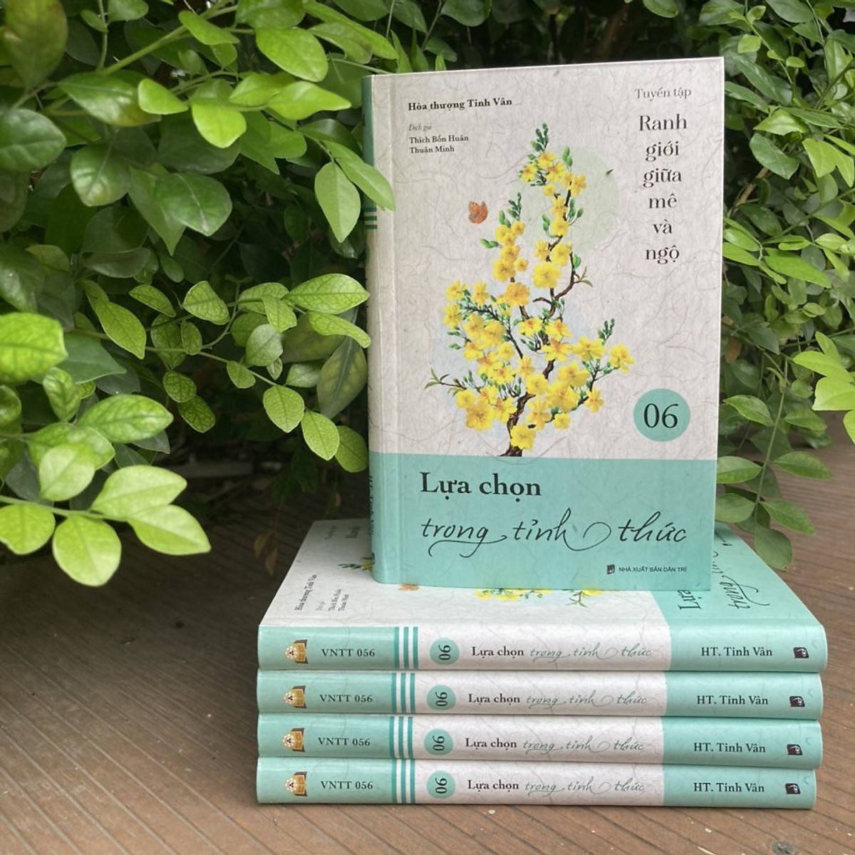 Mua Sách - Lựa chọn trong tỉnh thức - tuyển tập ranh giới giữa mê và ngộ tập  06 tại Tiệm Sách Hoa Hồng