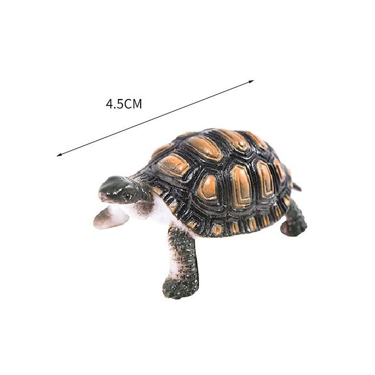 Đồ chơi 12 con Rùa Natural Turtle 5 cm mô hình đáng yêu bằng nhựa cứng