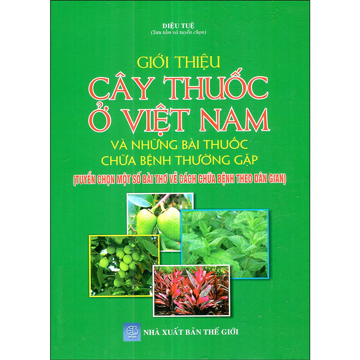 Giới Thiệu Cây Thuốc Ở Việt Nam Và Những Bài Thuốc Chữa Bệnh Thường Gặp