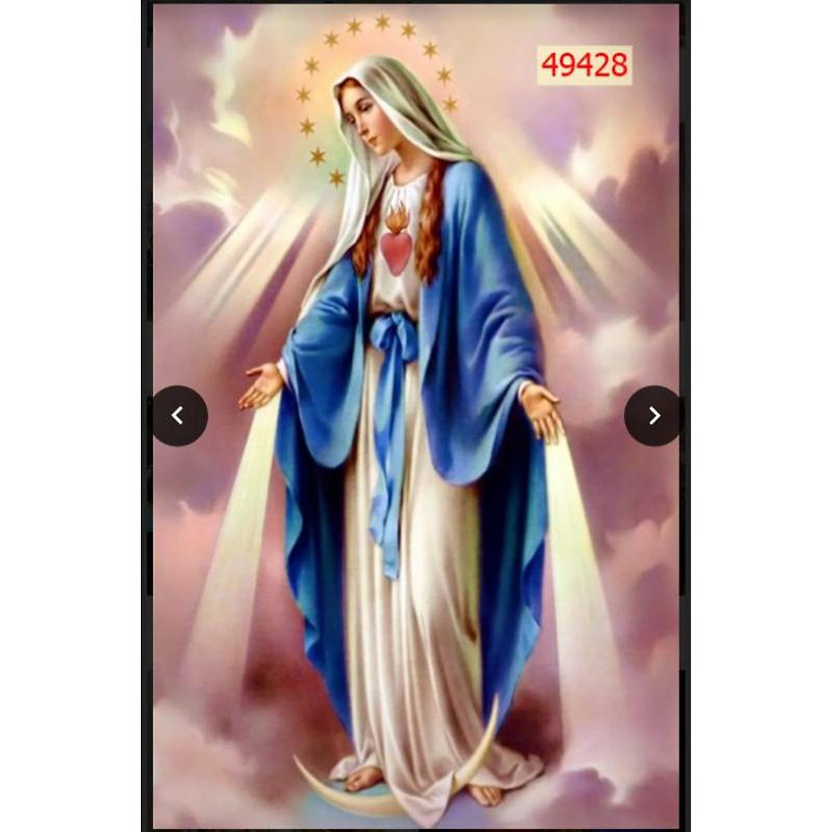 Chi tiết hơn 94 hình ảnh đức mẹ maria hay nhất - thtantai2.edu.vn