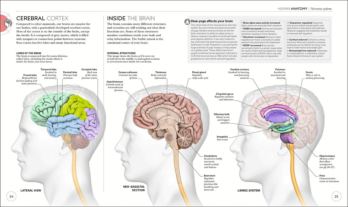 Science Of Yoga: Understand The Anatomy And Physiology To Perfect Your Practice
