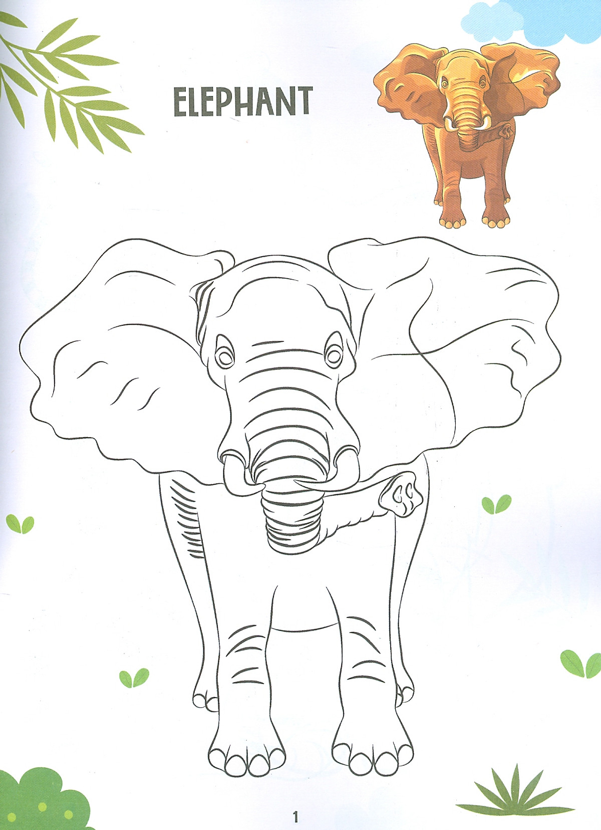 Wild Animals Colouring Book – Monkey Pen Store