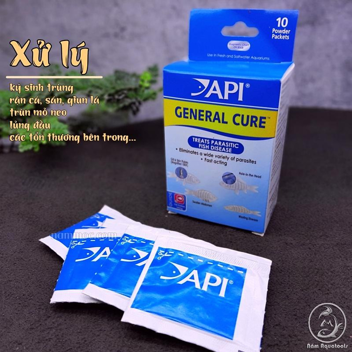 Mua API GENERAL CURE (hộp 10 gói) Xử lý ký sinh trùng / trùn mỏ neo