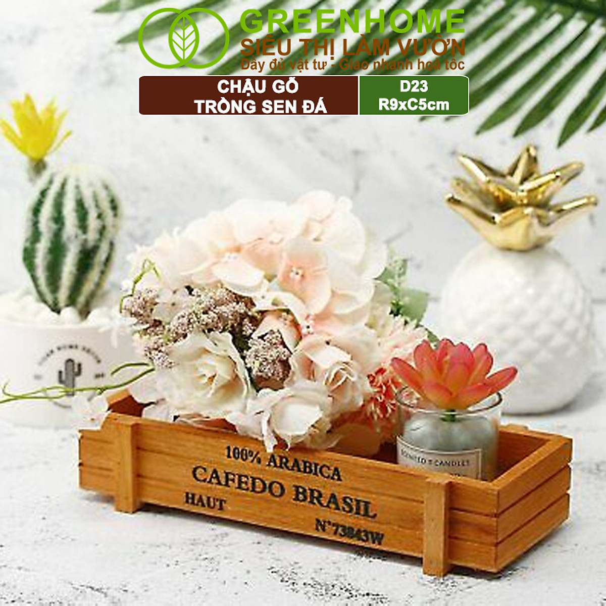 Chậu Gỗ Trồng Sen Đá Greenhome, Cafedo, D23xr9xc5cm, Trang Trí Cây Cảnh Để Bàn, Xương Rồng, Nhiều Màu Để Lựa Chọn
