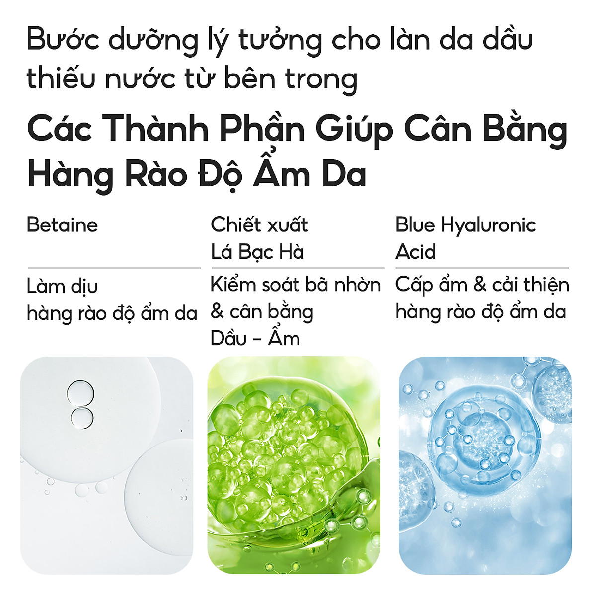 Kem Dưỡng Ẩm Dành Cho Da Dầu Và Da Hỗn Hợp Laneige Water Bank Blue HA Cream Oily 50ml