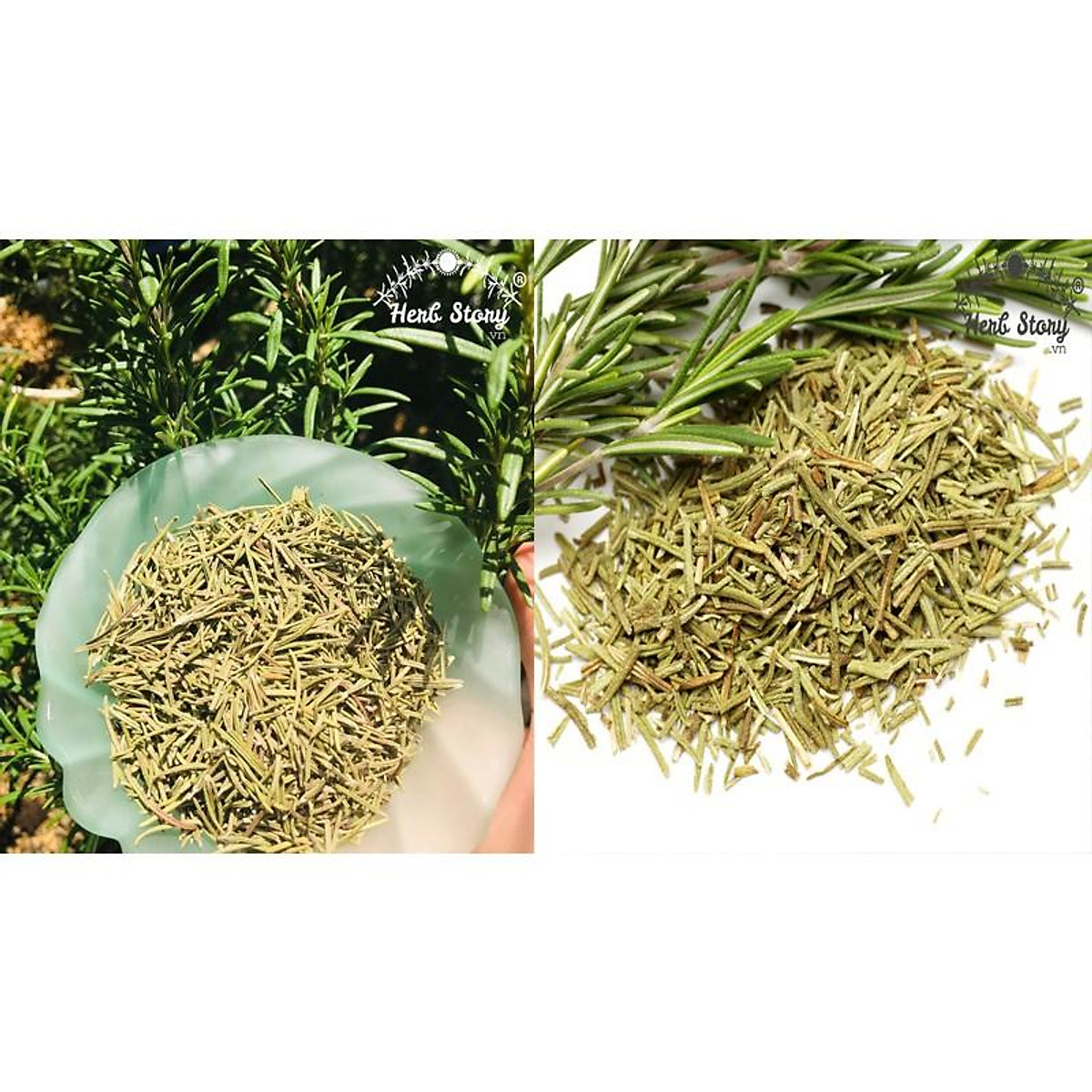 Lá Hương Thảo Ông Chà Và 50g (Rosemary)