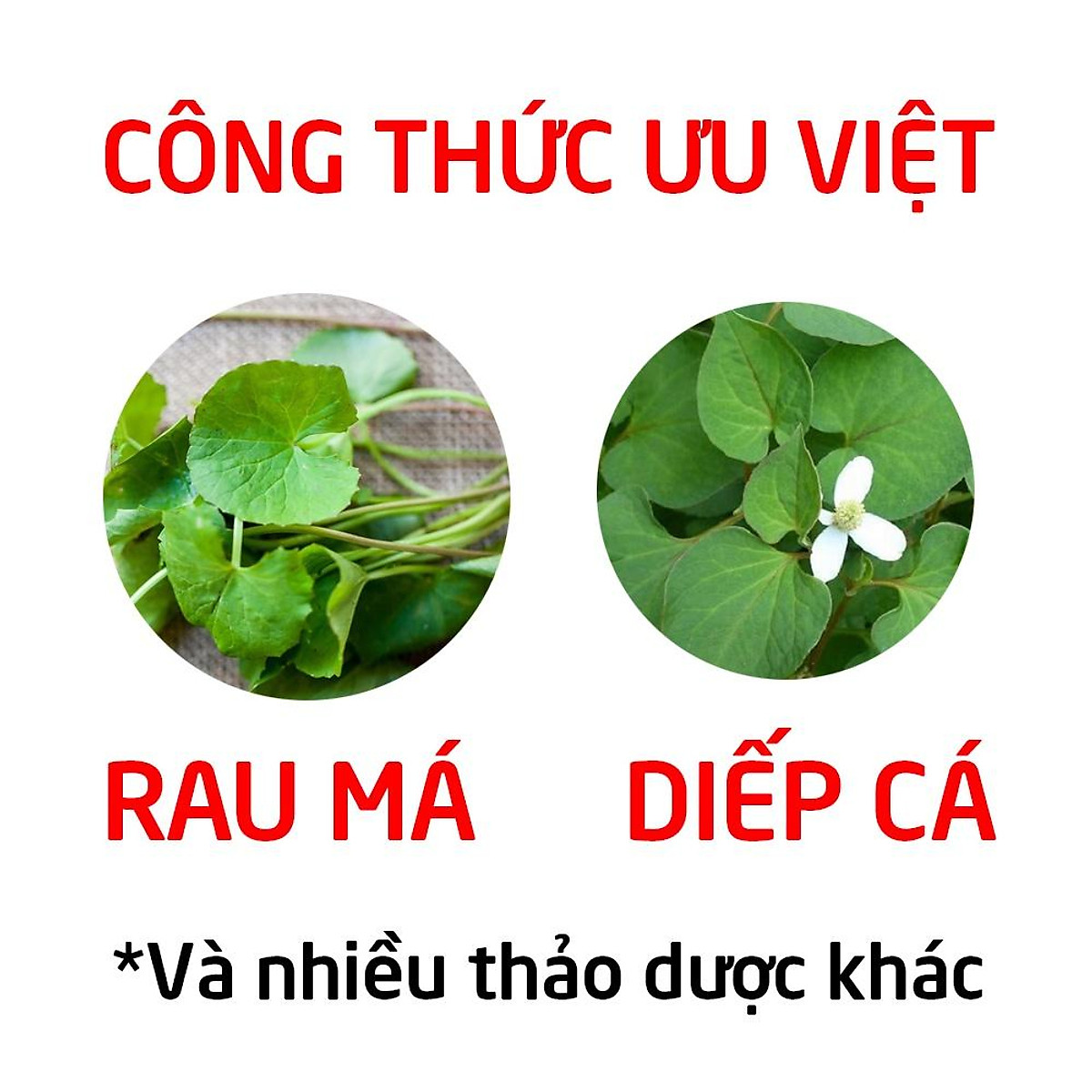 Siro Diếp Cá Vương Gold bổ sung chất xơ tự nhiên, giảm táo bón hiệu quả cho bé từ 6 tháng tuổi - 20 ống