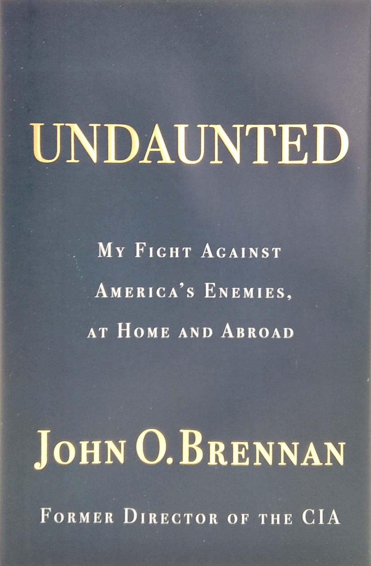 Undaunted: My Fight Against America's Enemies, At Home And Abroad