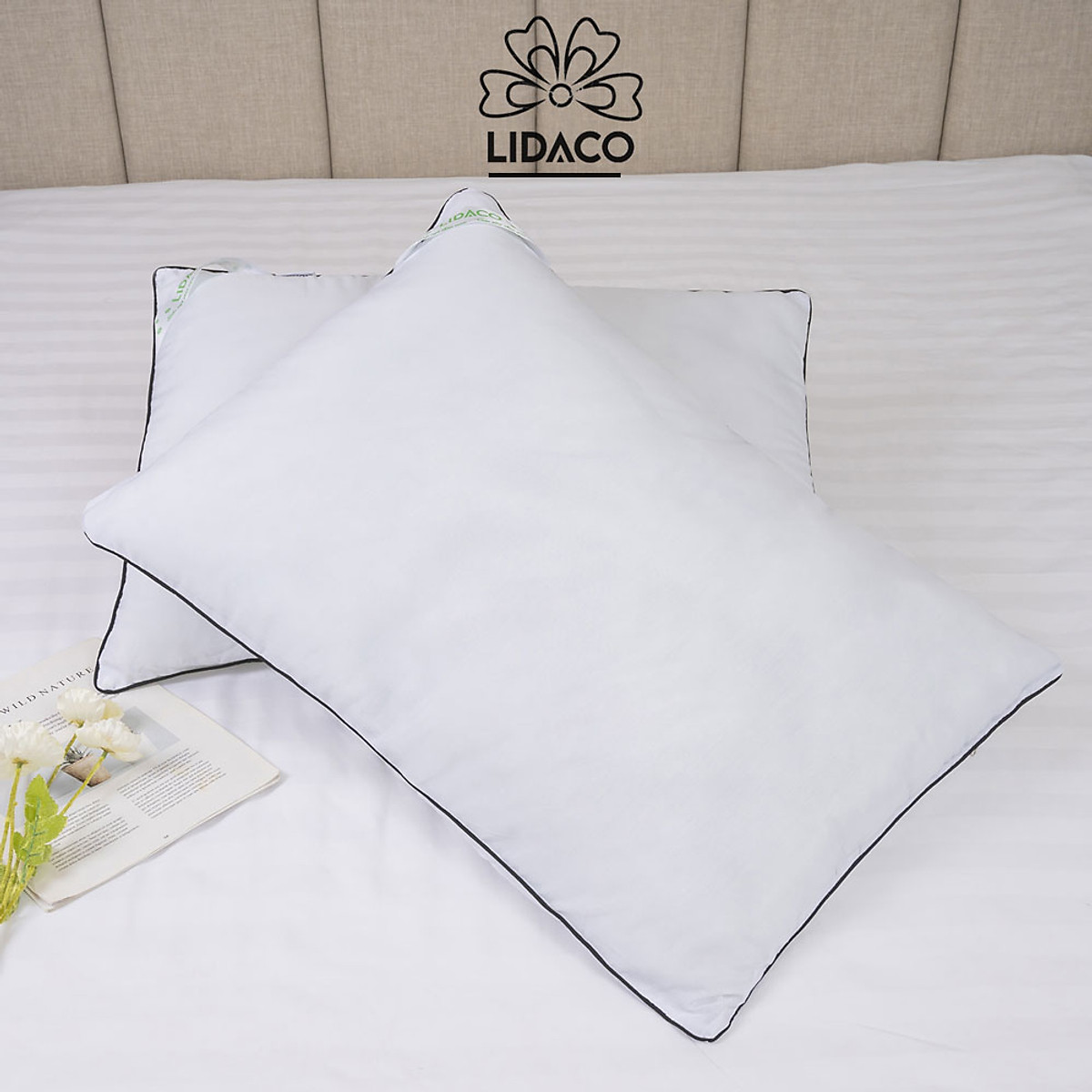 Ruột gối nằm, ruột gối vuông viền đen LIDACO cao cấp (1 chiếc)