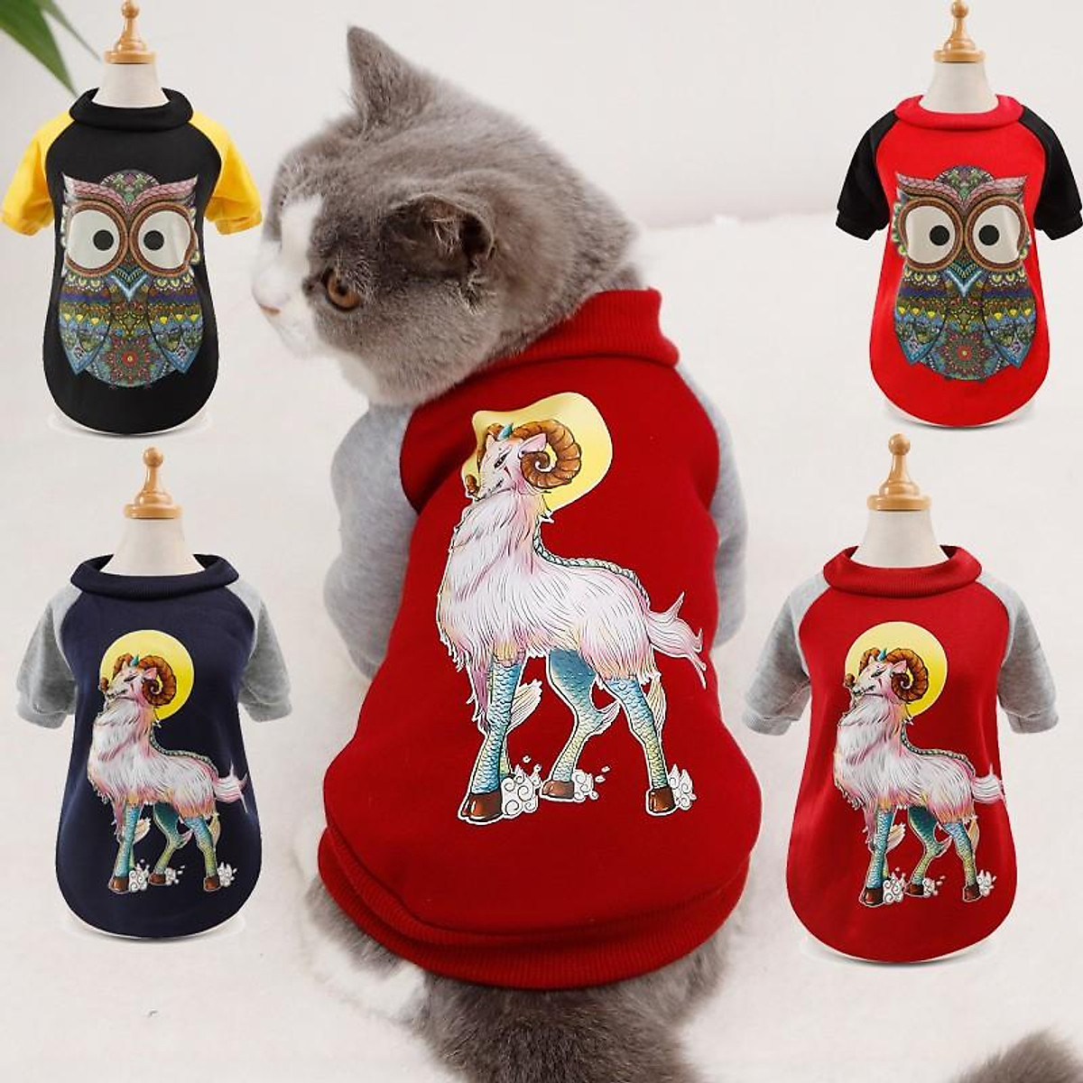 Áo cho mèo chó vải len lông cừu nhiều màu sắc dành cho mèo đẹp trai-