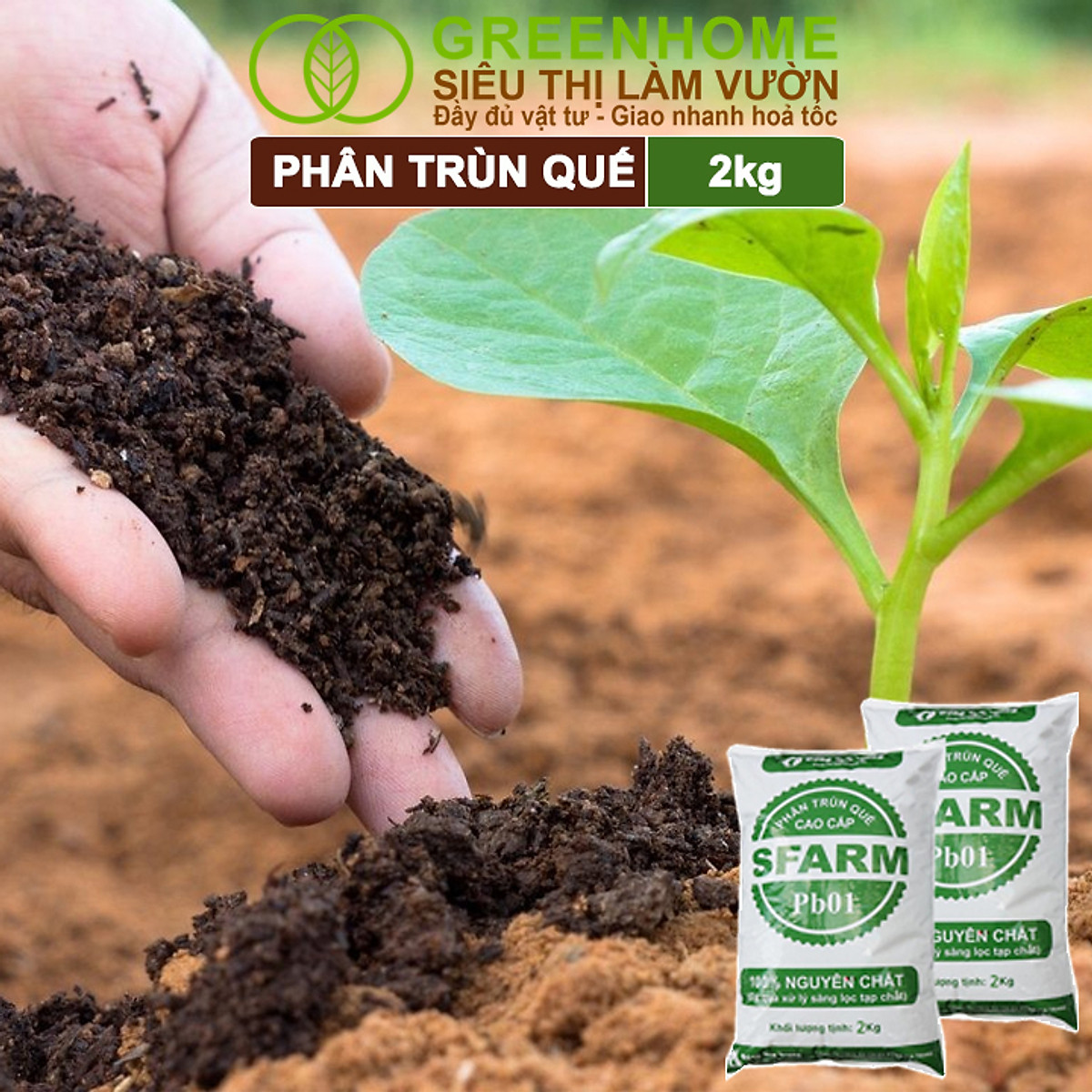 Phân Trùn Quế Greenhome, Bao 2kg, Dinh Dưỡng Hữu Cơ, Không Mùi, Tốt Cho Lan, Bonsai, Rau, Cây Ăn Trái