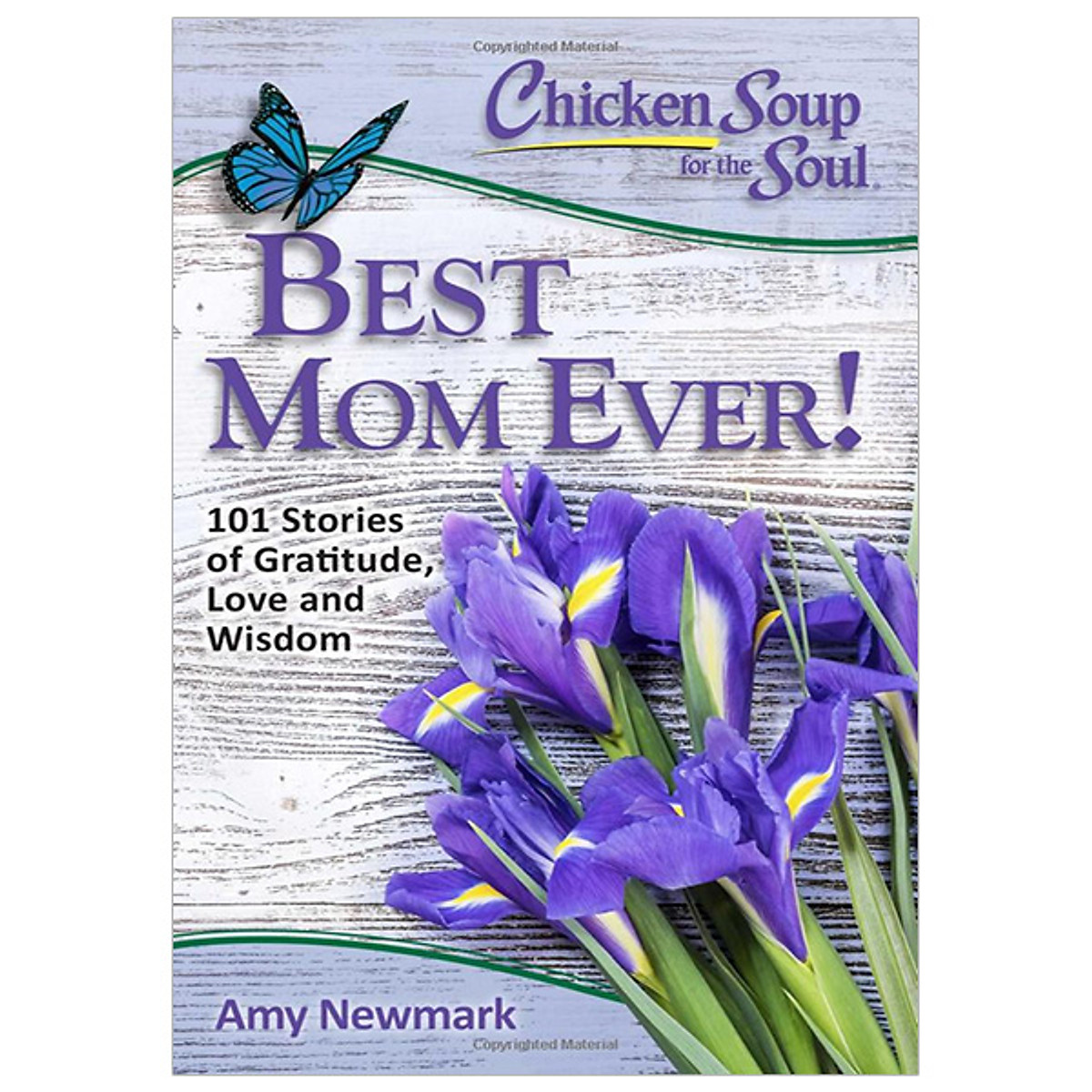 Chicken Soup For The Soul: Best Mom Ever!