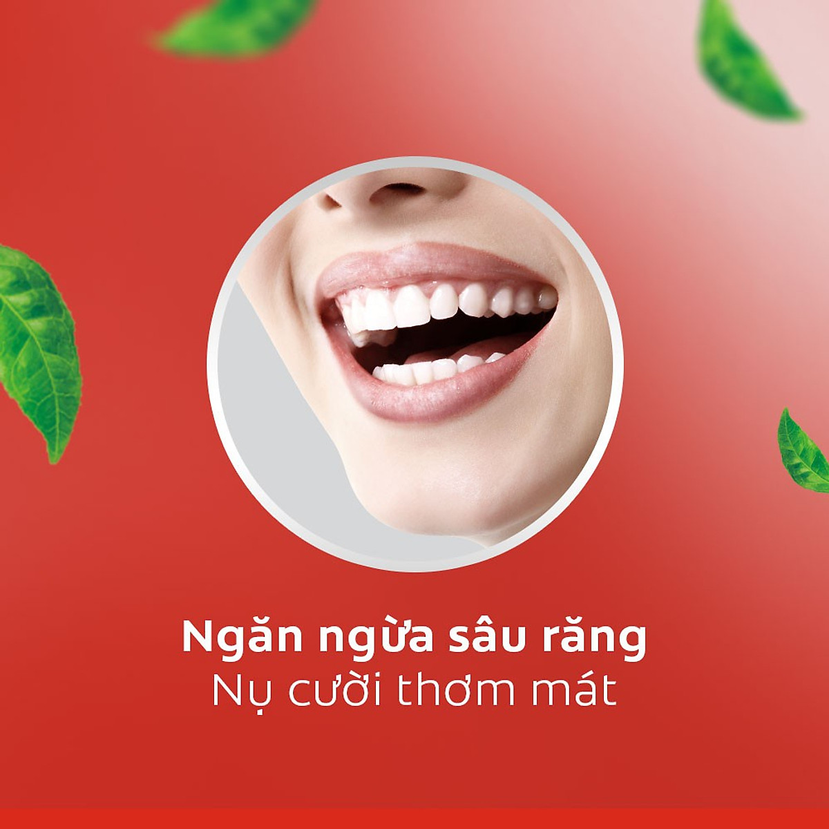 Bộ đôi Nước súc miệng Colgate diệt 99% vi khuẩn Plax trà xanh 500ml/chai