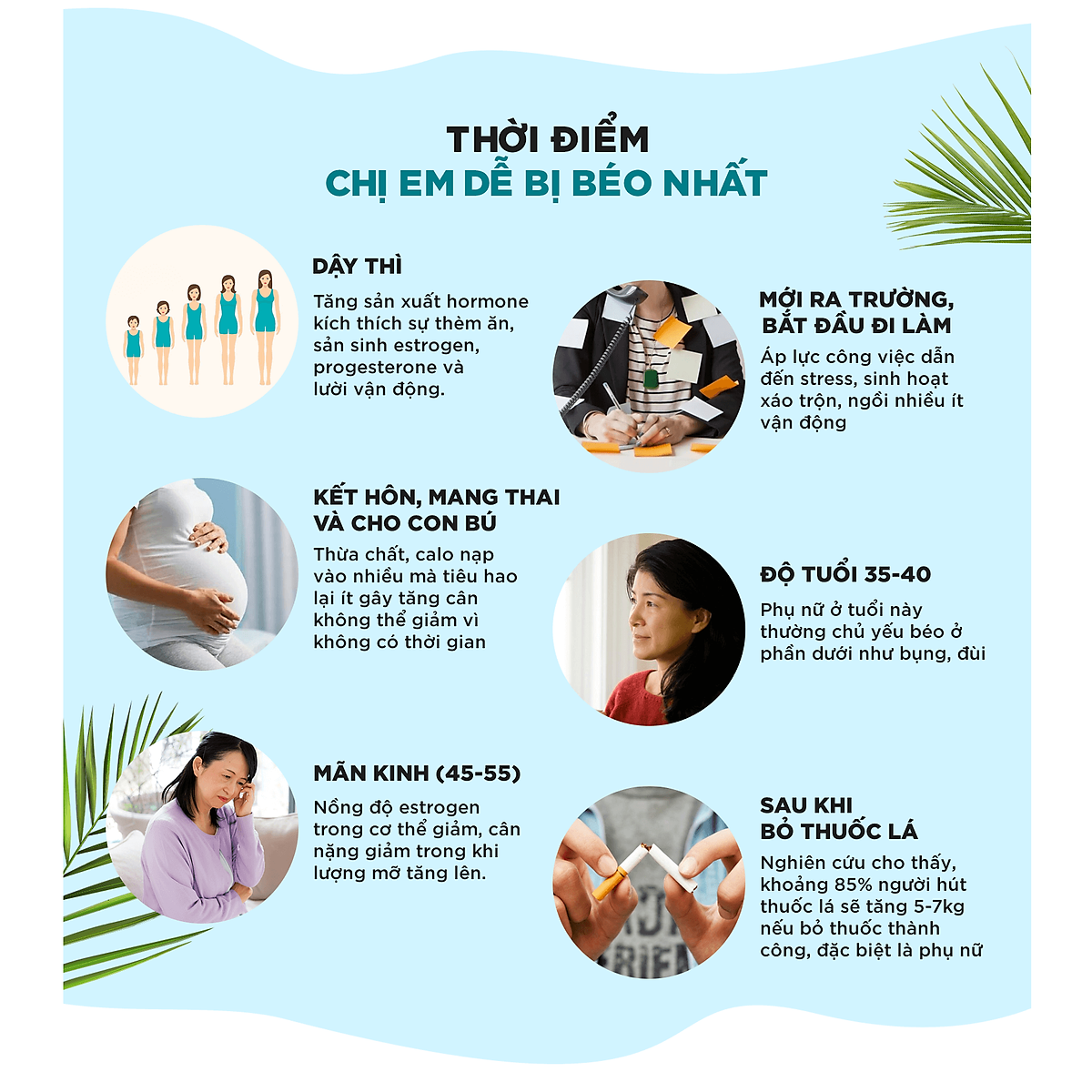 CHÍNH HÃNG] VIÊN UỐNG DẦU DỪA HỖ TRỢ GIẢM CÂN - DHC - Phân giải mỡ