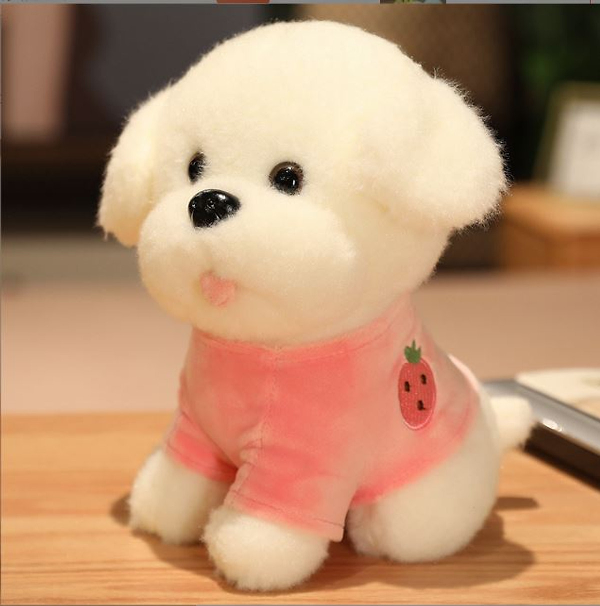 Gấu bông chó Ragdoll siêu đẹp, siêu dễ thương - Thú bông
