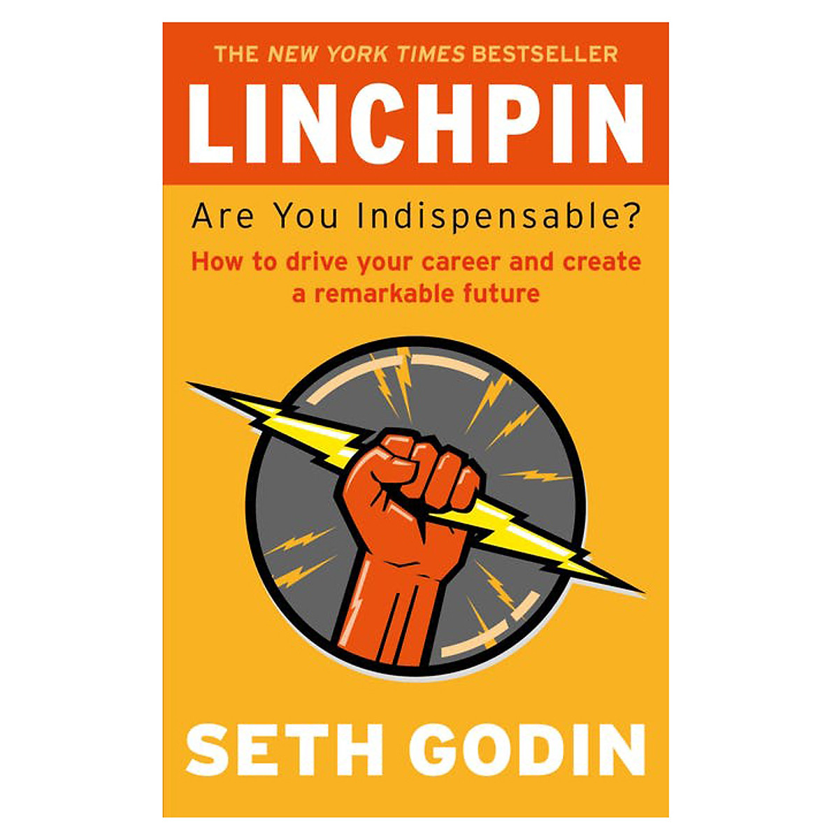 [Hàng thanh lý miễn đổi trả] Linchpin: Are You Indispensable? How To Drive Your Career And Create A Remarkable Future