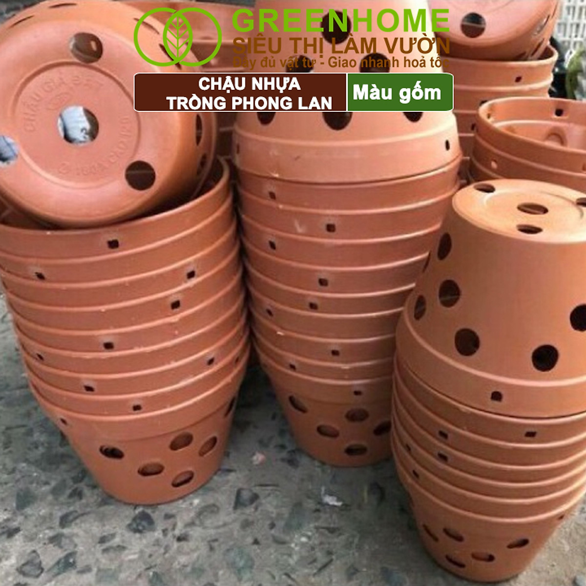 Chậu Trồng Lan Greenhome, R15xC10cm, Nhựa Màu Gốm, Bền, Đẹp, Chống Rơi Vỡ, Thoáng Rễ, Giá Thành Tốt