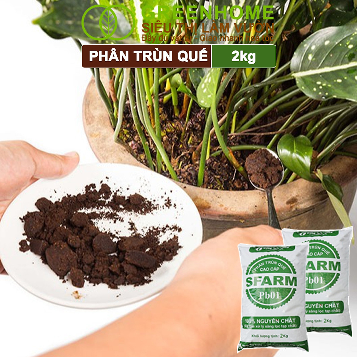 Phân Trùn Quế Greenhome, Bao 2kg, Dinh Dưỡng Hữu Cơ, Không Mùi, Tốt Cho Lan, Bonsai, Rau, Cây Ăn Trái