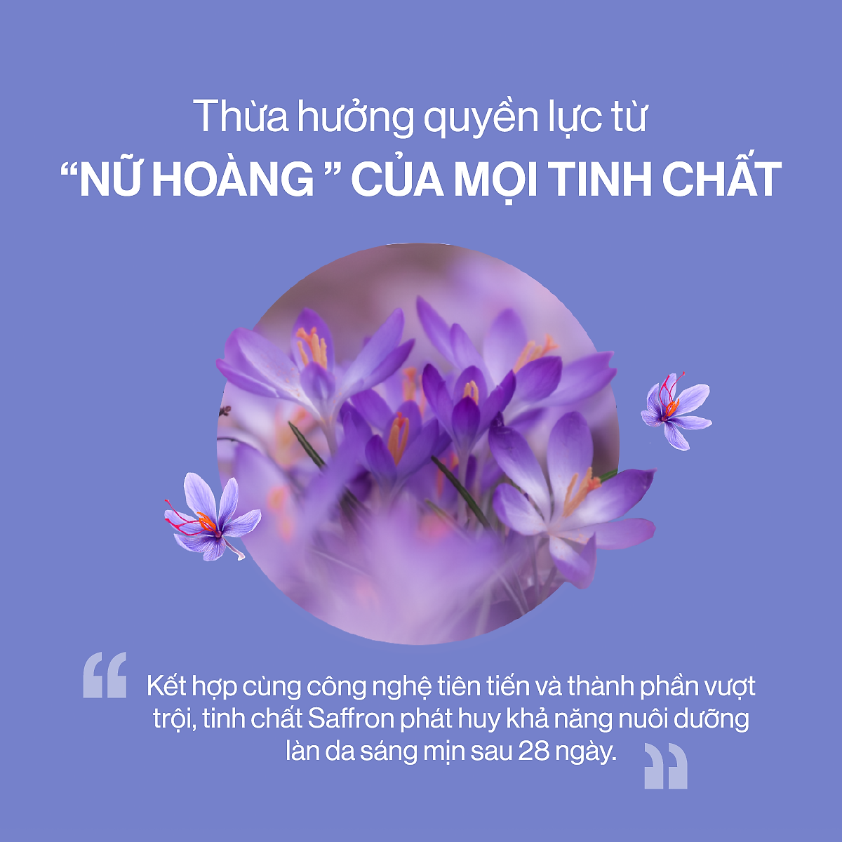 Bột Uống Collagen Gilaa Cao Cấp Kết Hợp Saffron - (60 gói x 2g)