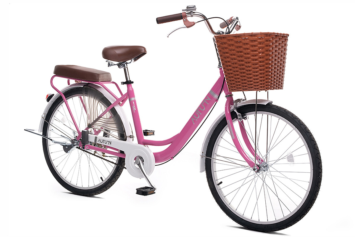 Xe đạp mini Thống Nhất Autumn LD 24-01 - Hàng chính hãng