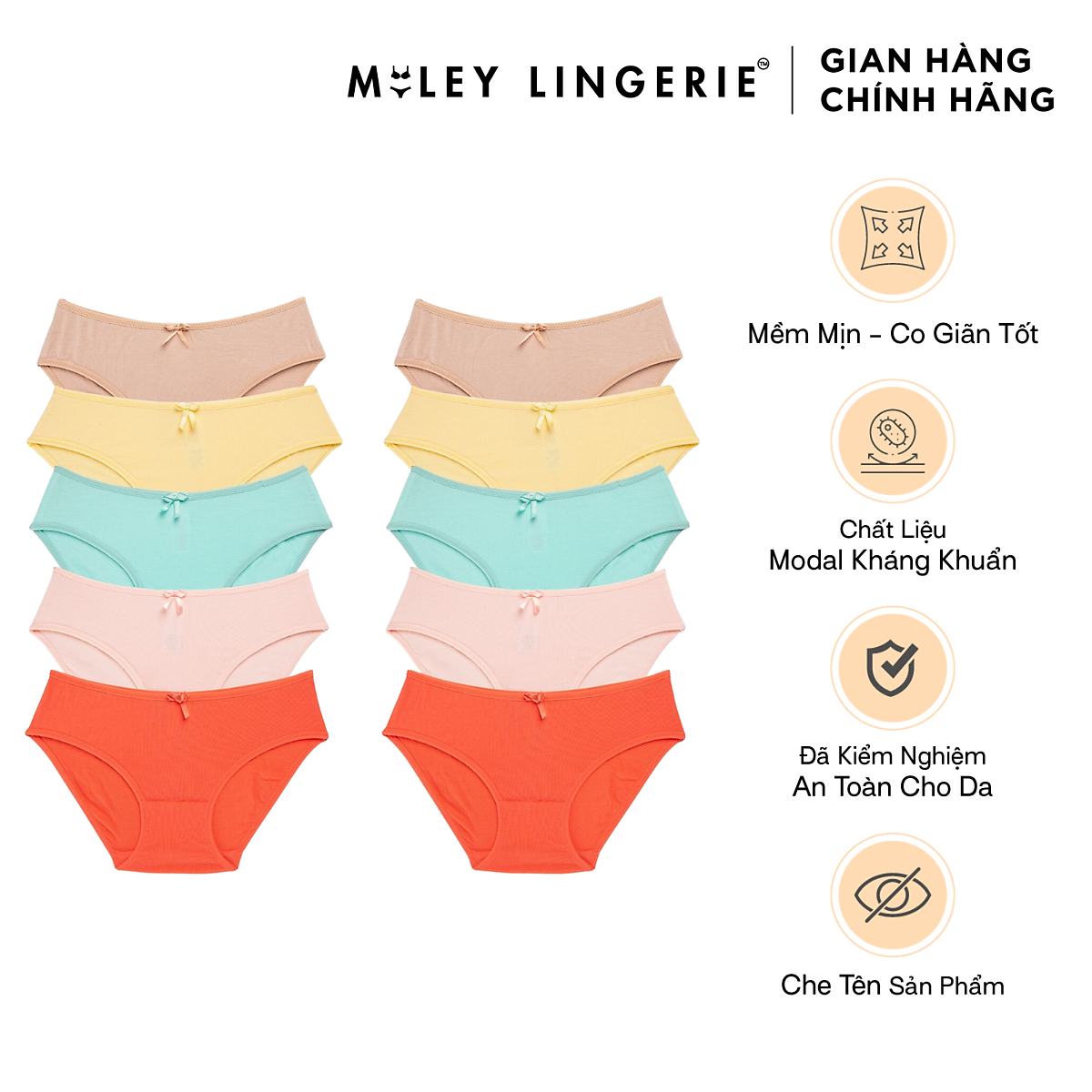 Combo 10 Quần Lót Nữ Modal Bigsize [2XL-5XL] - BCS04