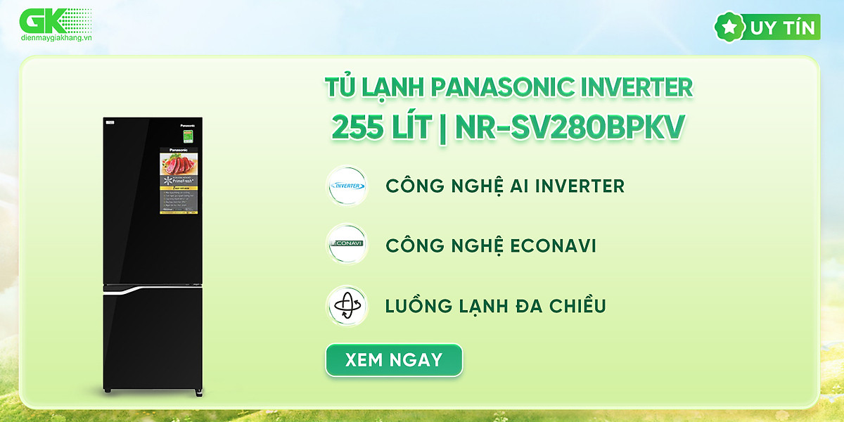 Tủ lạnh Panasonic 2 cánh ngăn đá dưới 255 lít NR-SV280BPKV - Hàng chính hãng - Chỉ giao hàng TP.HCM