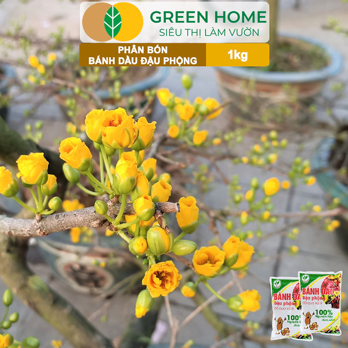 Bánh Dầu Đậu Phộng Greenhome, Bao 1kg, Phân Bón Hữu Cơ Hàm Lượng Đạm Cao, Chuyên Hoa, Rau, Củ, Quả, Kiểng